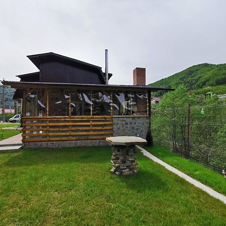 Casa Vio Guest House Nehoiu Eksteriør bilde