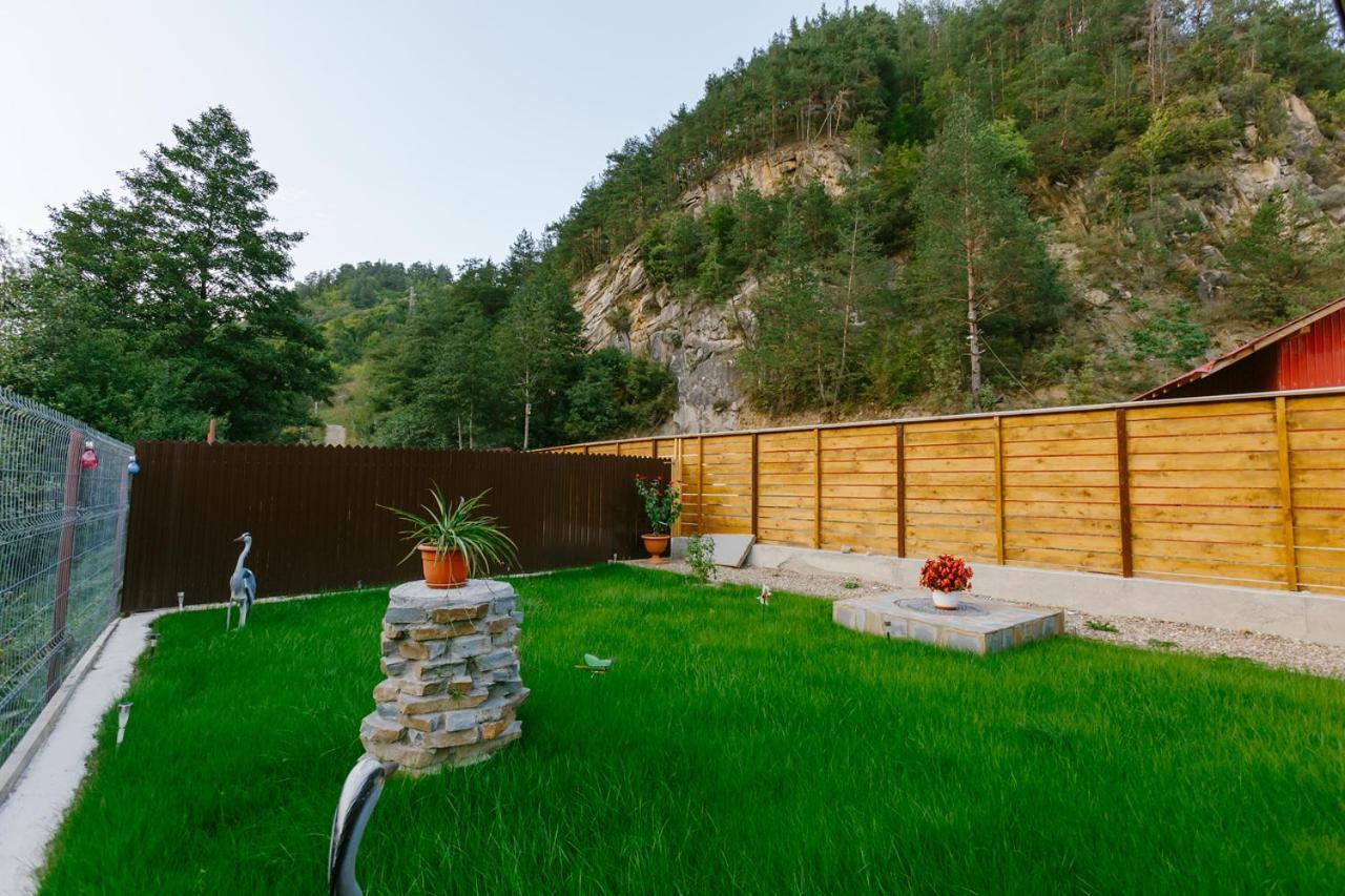 Casa Vio Guest House Nehoiu Eksteriør bilde