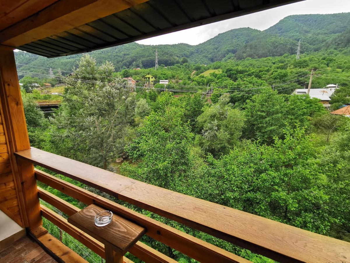 Casa Vio Guest House Nehoiu Eksteriør bilde