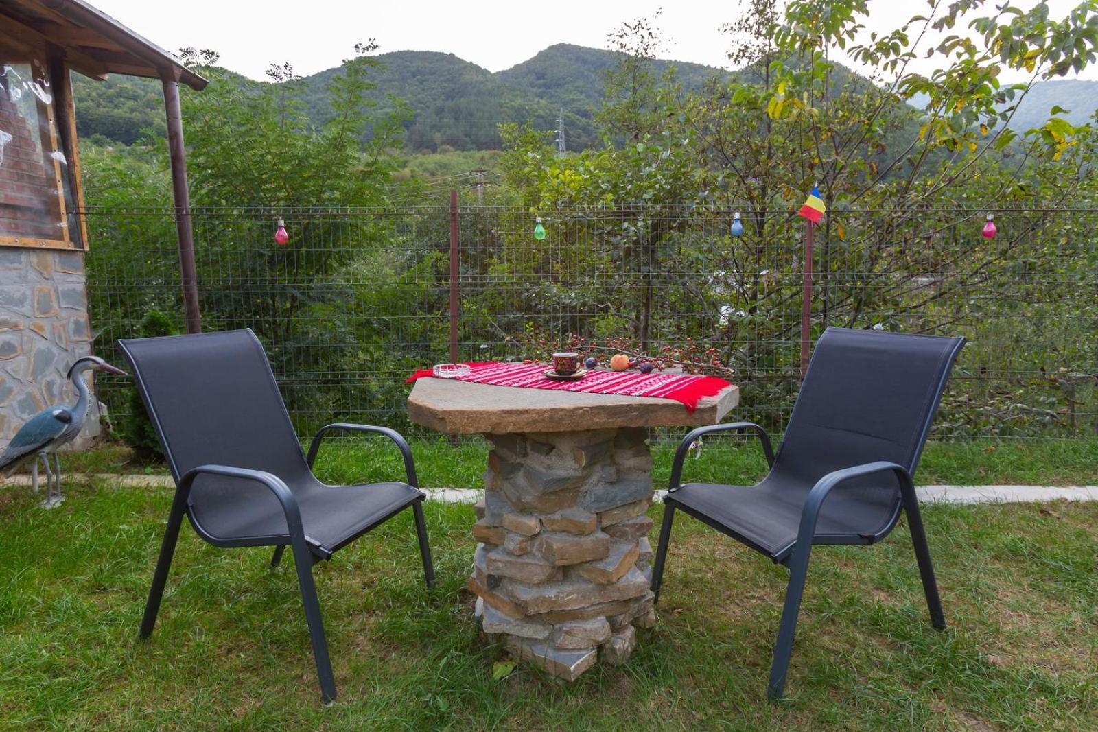 Casa Vio Guest House Nehoiu Eksteriør bilde