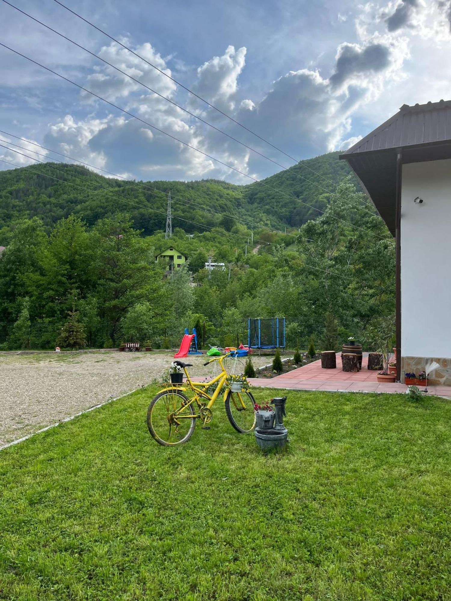 Casa Vio Guest House Nehoiu Eksteriør bilde