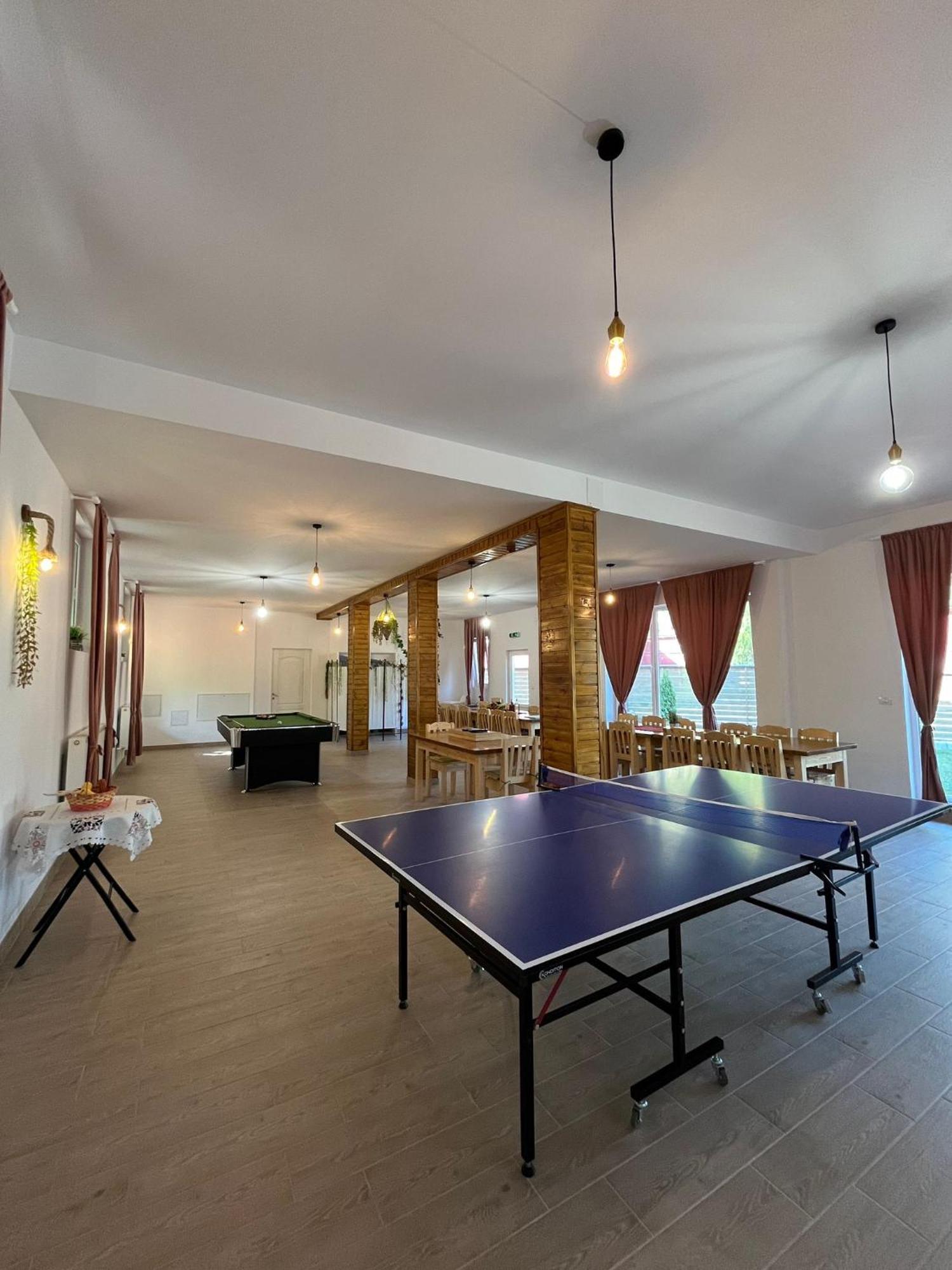 Casa Vio Guest House Nehoiu Eksteriør bilde