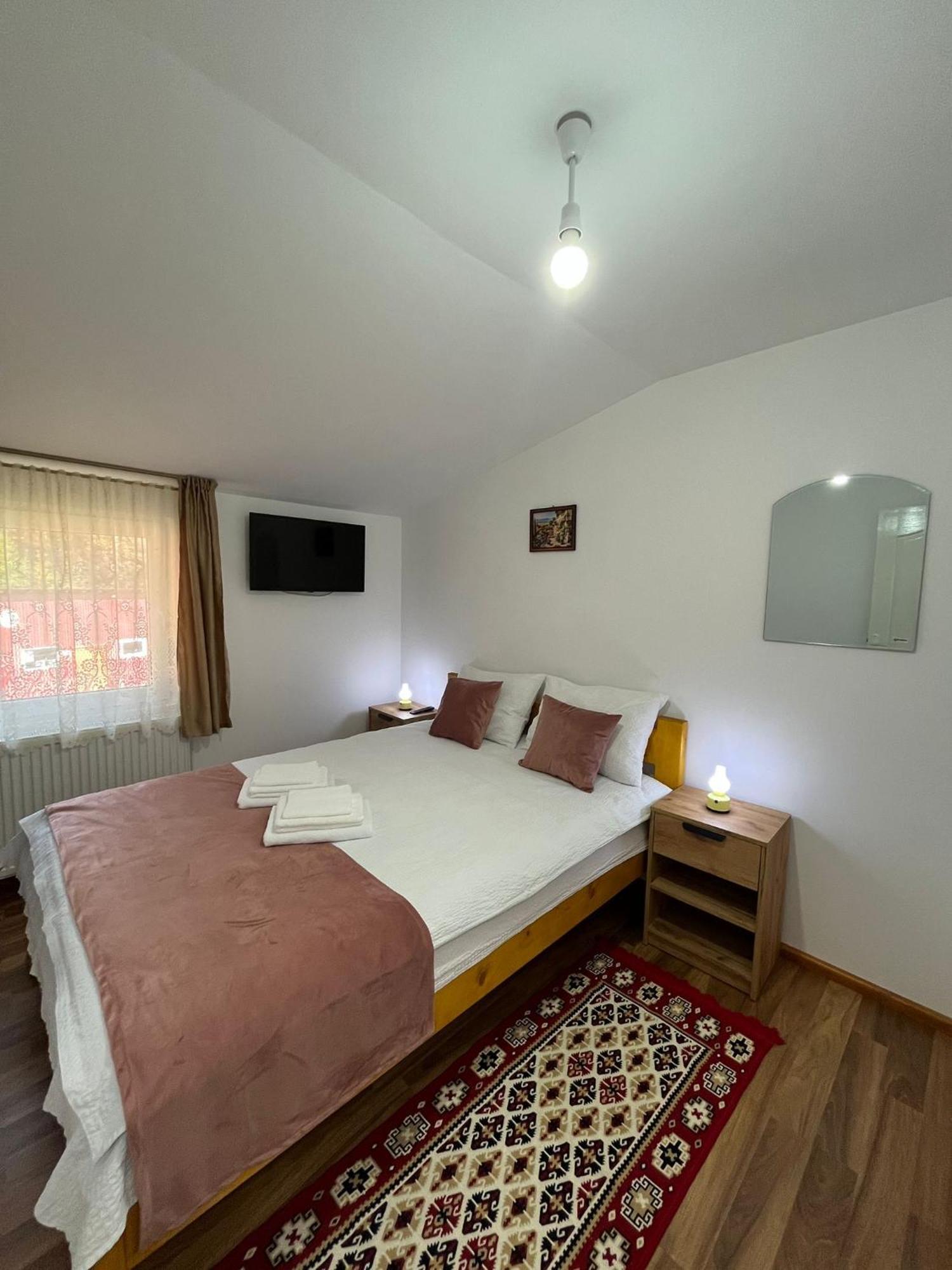 Casa Vio Guest House Nehoiu Eksteriør bilde
