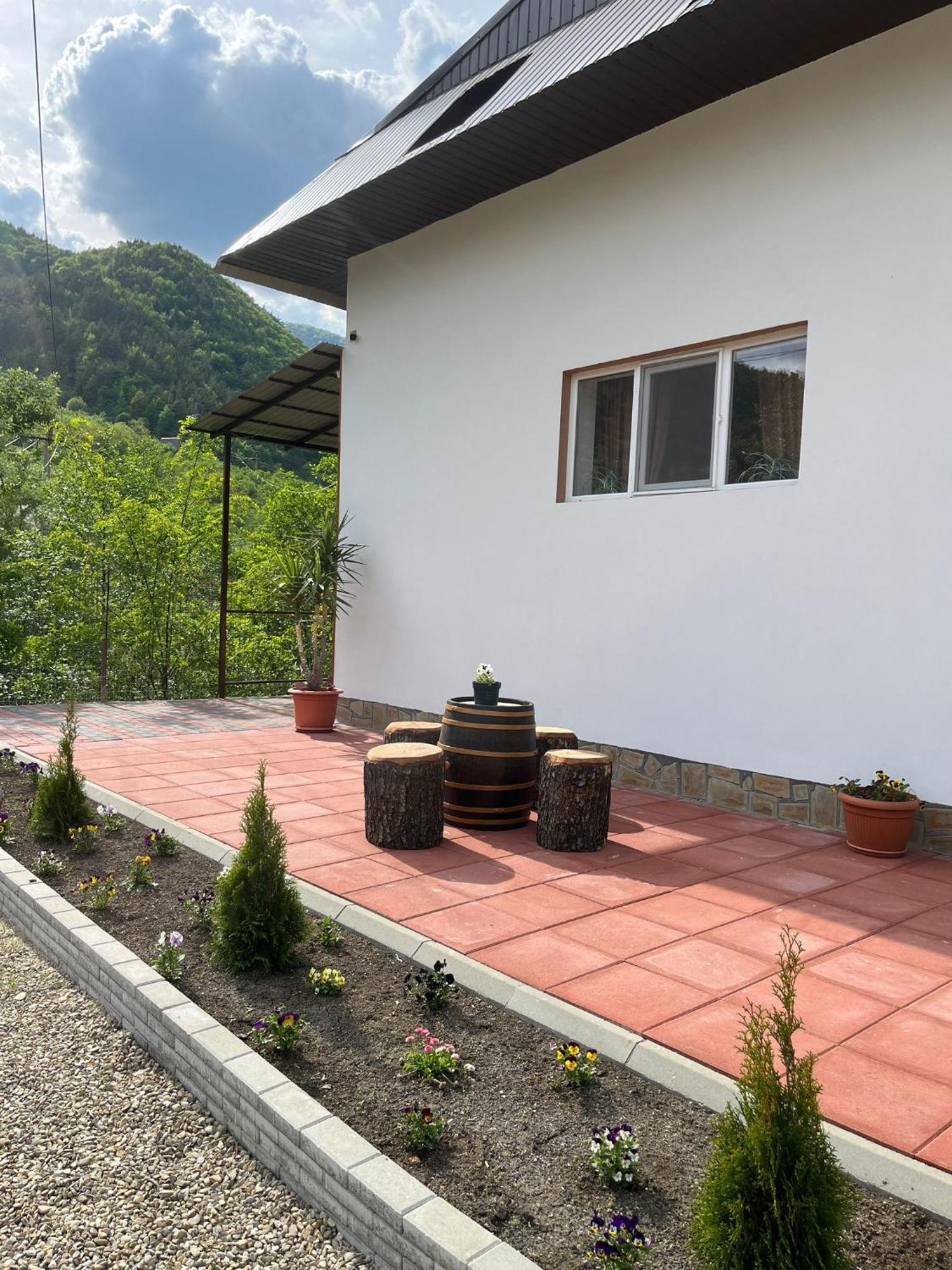 Casa Vio Guest House Nehoiu Eksteriør bilde