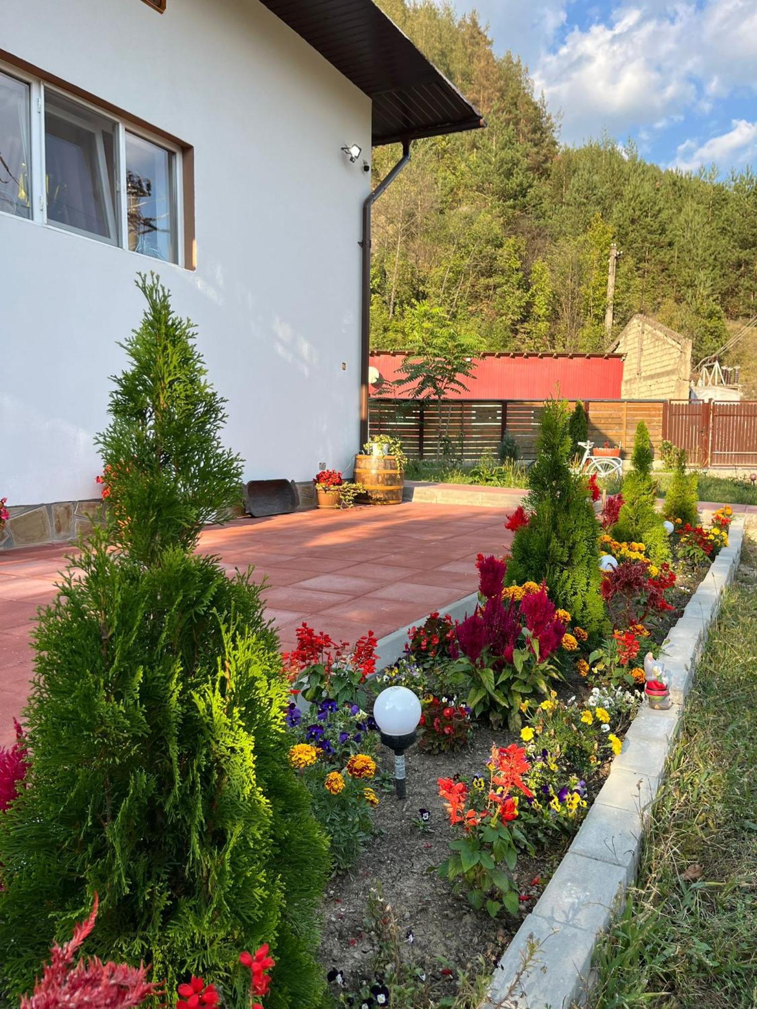Casa Vio Guest House Nehoiu Eksteriør bilde